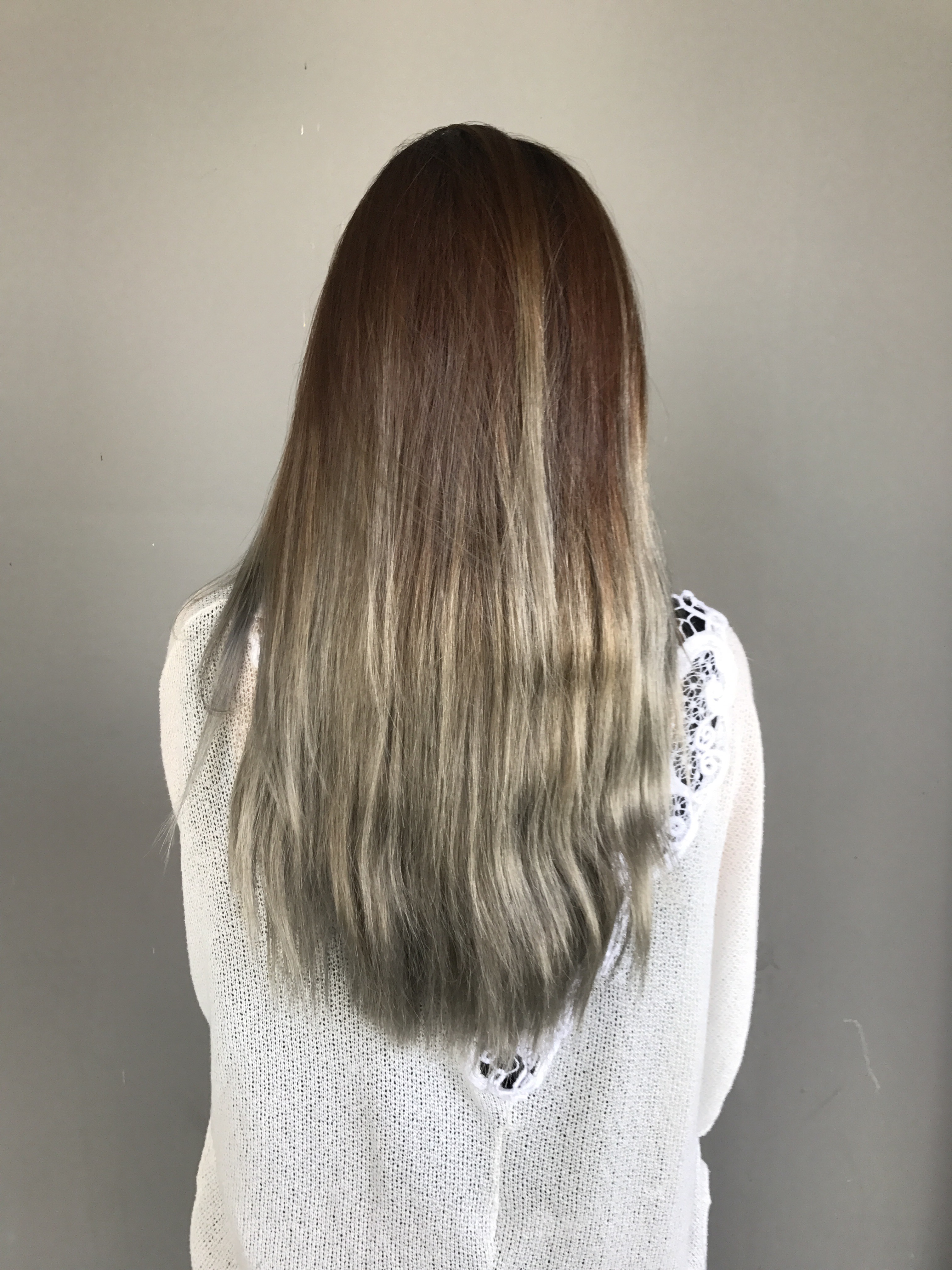 DIY Gray Hair | Color Brilliance Ion – thatscarol
